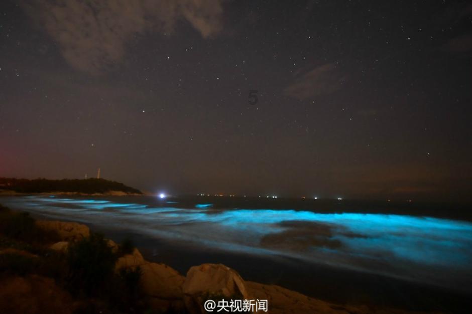 小猫钓鱼开船版最新版下载