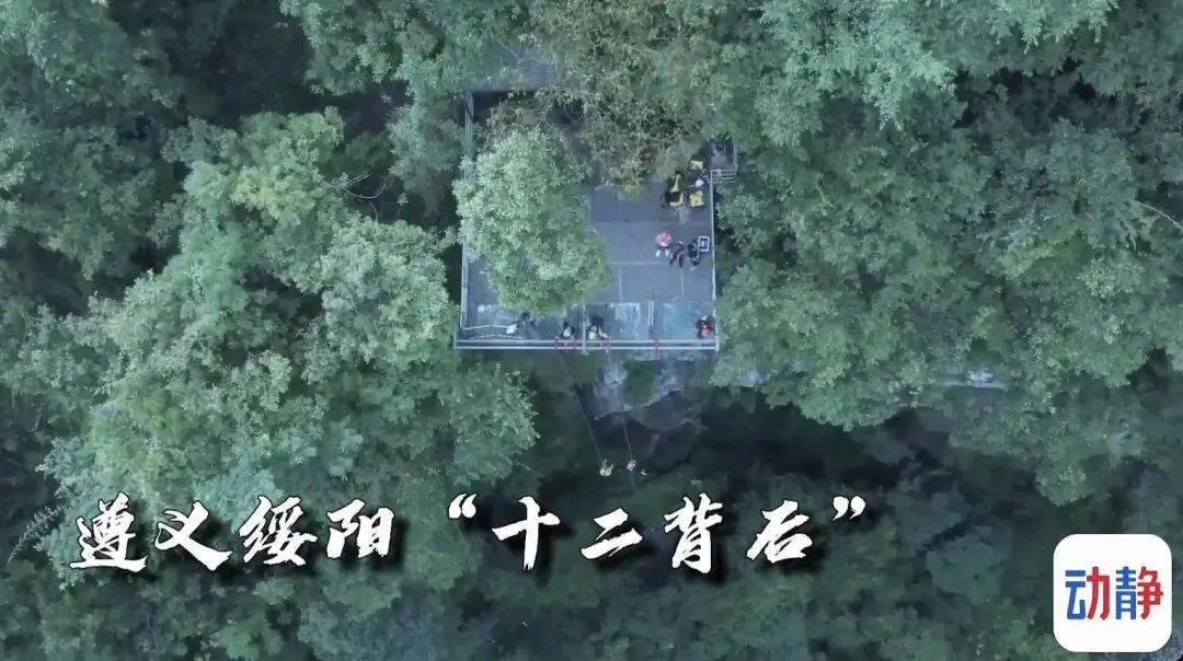 燃烧吧大脑免广告最新版