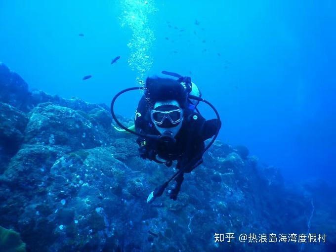 春雨直播app